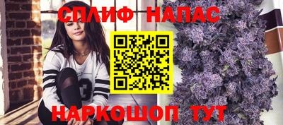 спайс Будённовск