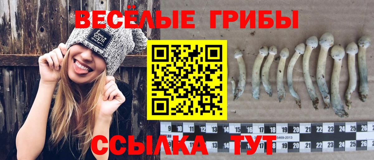 Псилоцибиновые грибы GOLDEN TEACHER Лиски